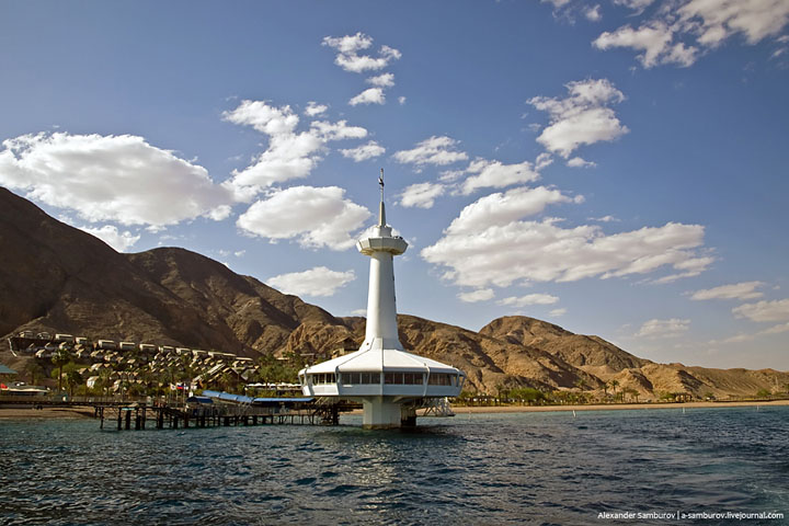 ОКЕАНАРИУМ-ЭЙЛАТ-ИЗРАИЛЬ-КРАСНОЕ МОРЕ (12).jpg